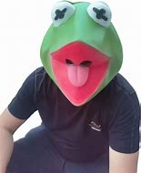 Image result for Kermit the Frog Mask Meme