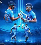 Image result for Cricket Stock Images India