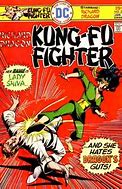 Image result for Kung Fu Fighter Art