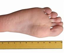 Image result for One Foot Length