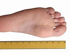 Image result for 1 Foot Inches