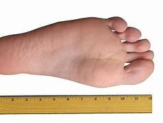 Image result for One Foot Length