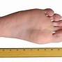 Image result for 13 Inches Actual Size