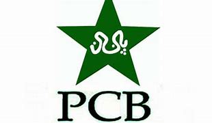 Image result for PCB Cricket