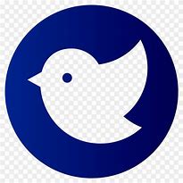 Image result for Twitter Blue T Logo