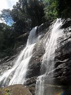 Image result for udzungwa