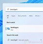 Image result for Microsoft Widgets Home Screen