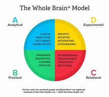 Image result for Whole Brain Thinking Images