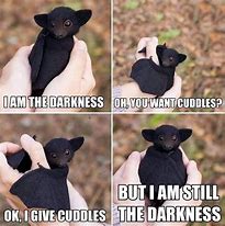 Image result for Baby Bat Memes