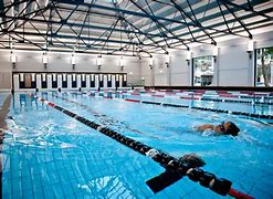 Image result for Pools in Auckland