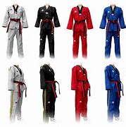 Image result for Outfits of Different Martial Arts