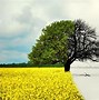 Image result for Why Do We Have Different Seasons
