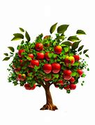 Image result for Early Transparent Apple Tree