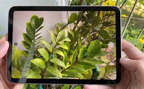 Image result for iPad 10th Generation Camera Test