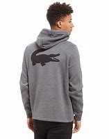 Image result for Lacoste Hoodie Logo