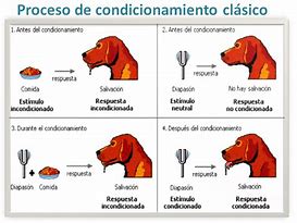 Image result for condicionamiento