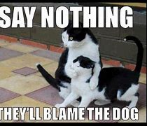 Image result for Cute Cat and Dog Memes
