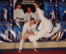 Image result for Isshinryu Karate