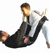 Image result for Jiu Jitsu Mount Position