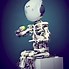 Image result for Basic Humanoid Robot