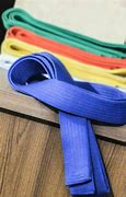 Image result for Karate Yellow Belt