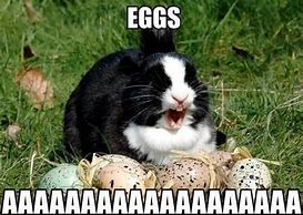 Image result for Funny Easter Backgrounds
