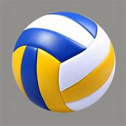 Image result for Picture of Volleyball Ball