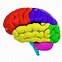 Image result for Brain Graphic