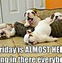 Image result for Happy Friday Eve Images Funny