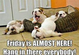 Image result for Friday Eve Pic Funny