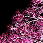 Image result for 4K Background Pink Neon Lights