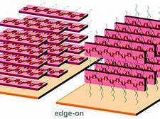 Image result for Lithium Polymer Cell