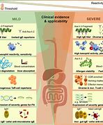 Image result for Food Allergy