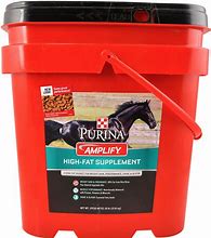 Image result for Amplify for Horses