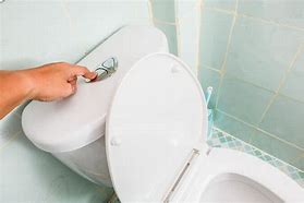 Image result for 55Mm Dual Toilet Flush
