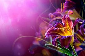 Image result for Abstract Flower Background Wallpaper