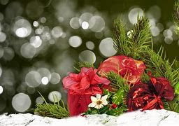 Image result for Winter Christmas Flowers Wallpaper