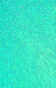 Image result for Sea Green Wallpaper