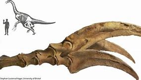 Image result for Dinosaurs with Sharp Claws