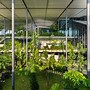 Image result for Car Factory with Inside Garden