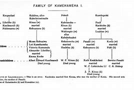 Image result for Great Gama Family Tree