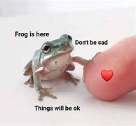Image result for Frog Job Meme