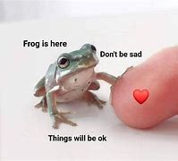 Image result for Smiling Frog Meme