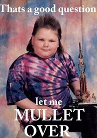 Image result for Mullet Meme