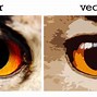 Image result for Difference Between Raster and Vector