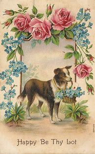 Image result for Vintage Dog Postcards