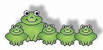 Image result for Tree Frogs