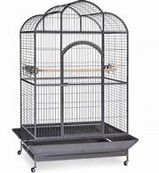 Image result for Macaw Bird Cage