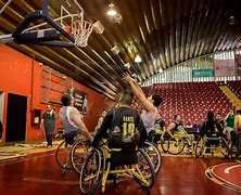 Image result for basquetbil
