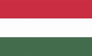 Image result for Hungary Flag ID